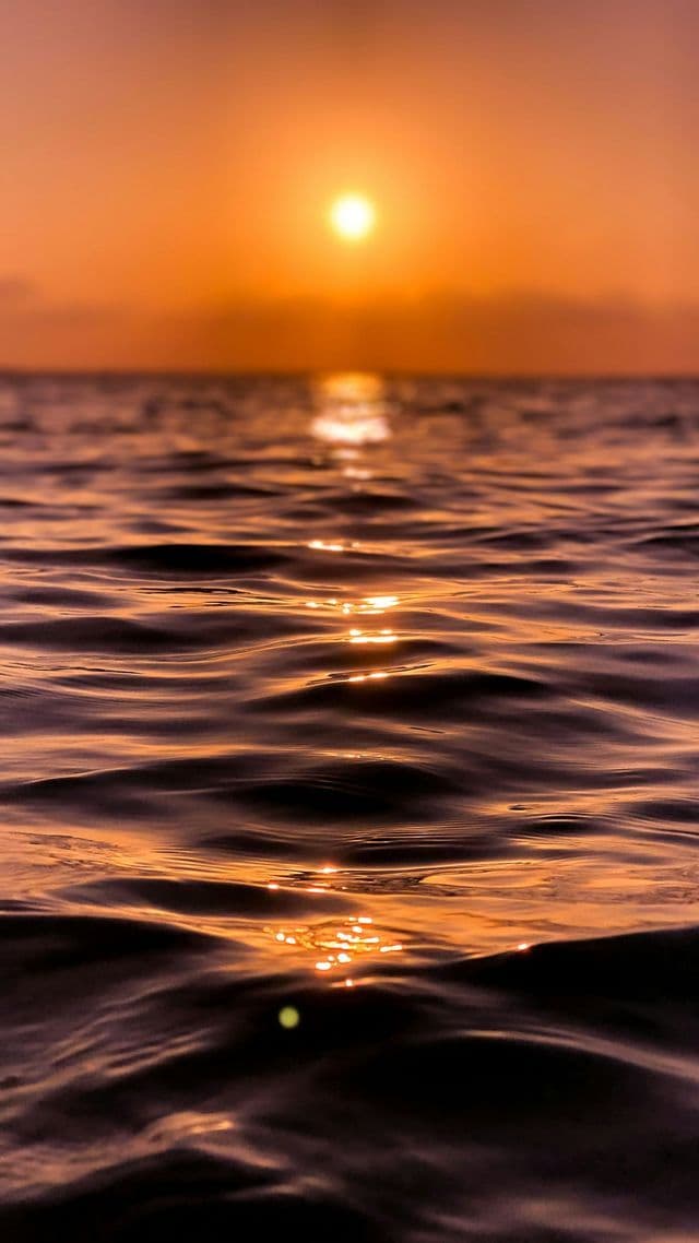 A close-up of gentle ocean waves, with the setting sun reflecting a golden light on the water's surface.