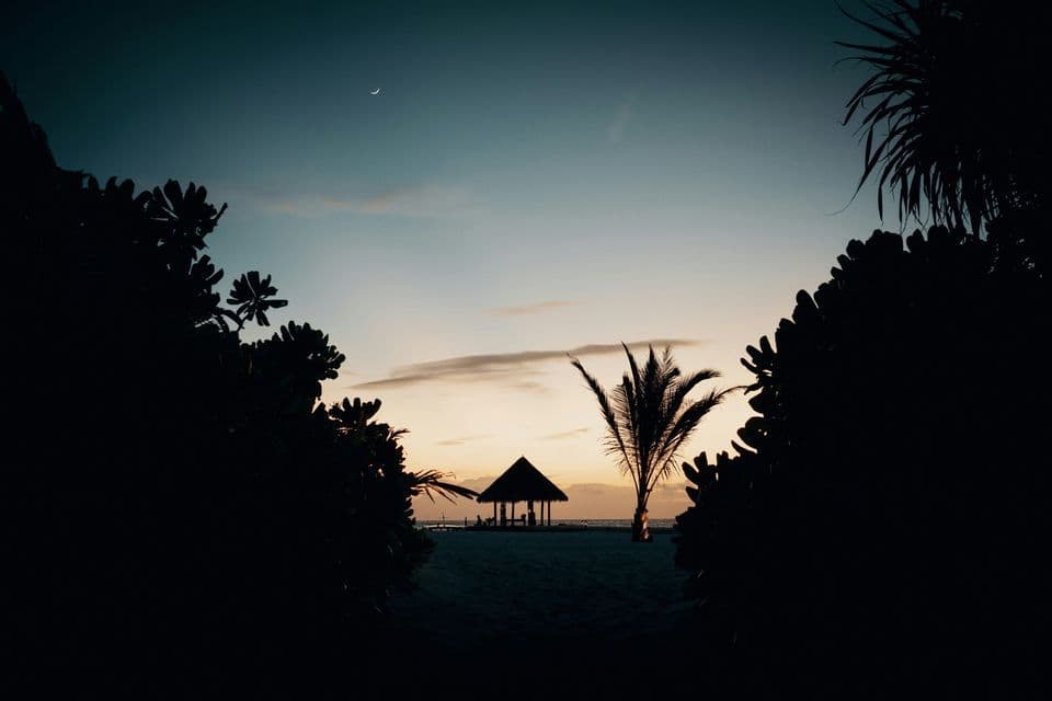 A silhouetted thatched hut and palm tree on a beach at dusk, viewed from a path through foliage, with a crescent moon in the sky.