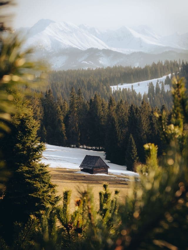 Un chalet en bois repose sur une colline enneigée devant une dense forêt de pins, avec des montagnes enneigées en arrière-plan.