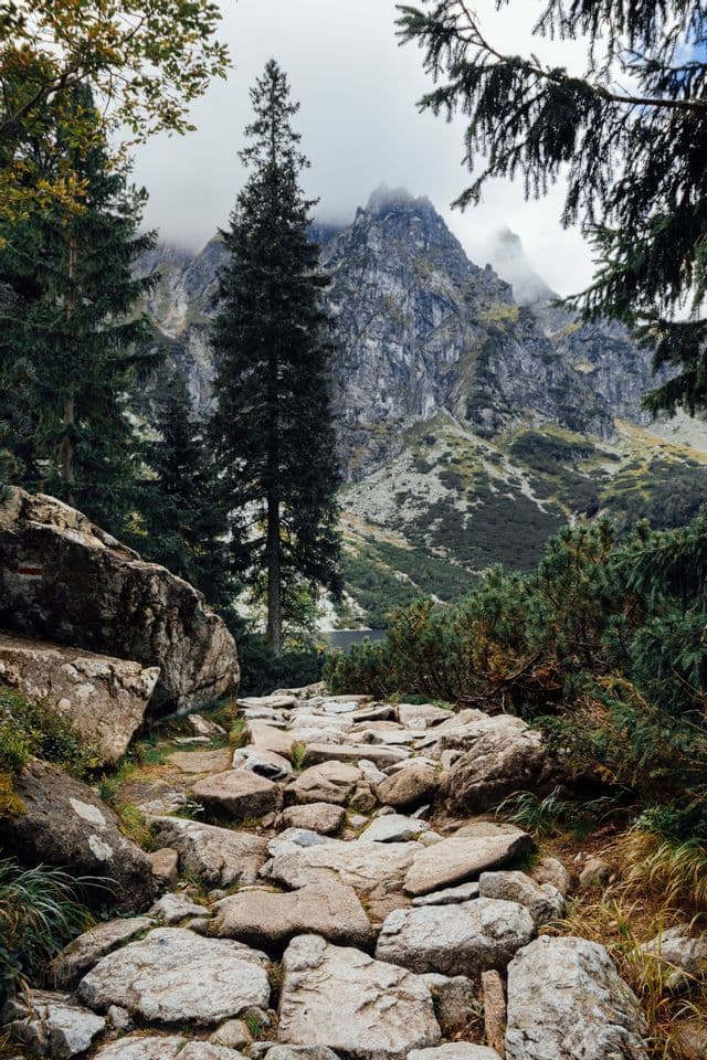 Un sentier rocheux serpente à travers une forêt de pins, menant vers un pic montagneux escarpé partiellement couvert de nuages.