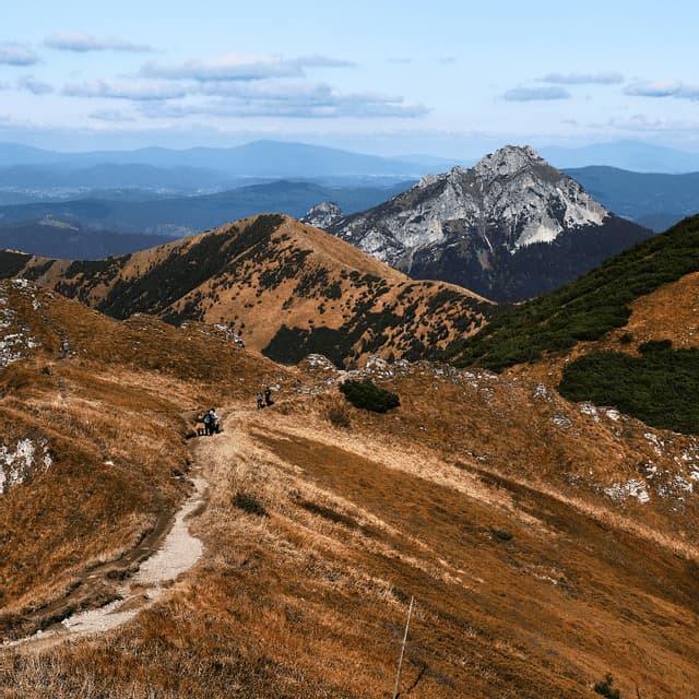 Un gruppo WeRoad con un cane fa un'escursione su un sentiero lungo un fianco montano dorato e marrone, con cime rocciose visibili in lontananza.