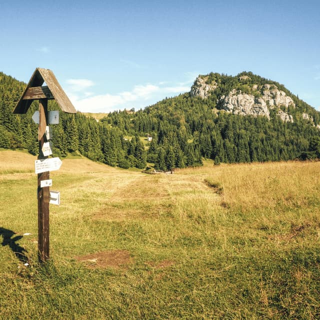 Un cartello segnavia in legno con diverse frecce si trova in un campo erboso, indicando un sentiero che conduce a una montagna rocciosa e boscosa.