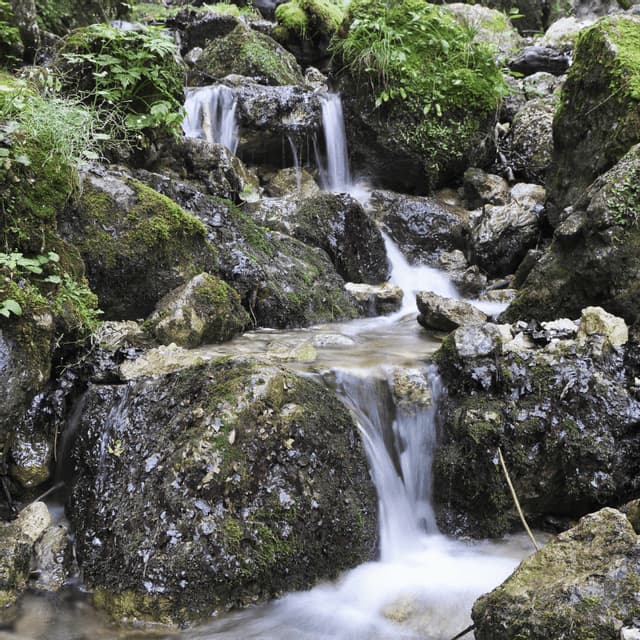 Una piccola cascata scende con un effetto setoso su rocce muschiose in un ambiente verde e naturale.