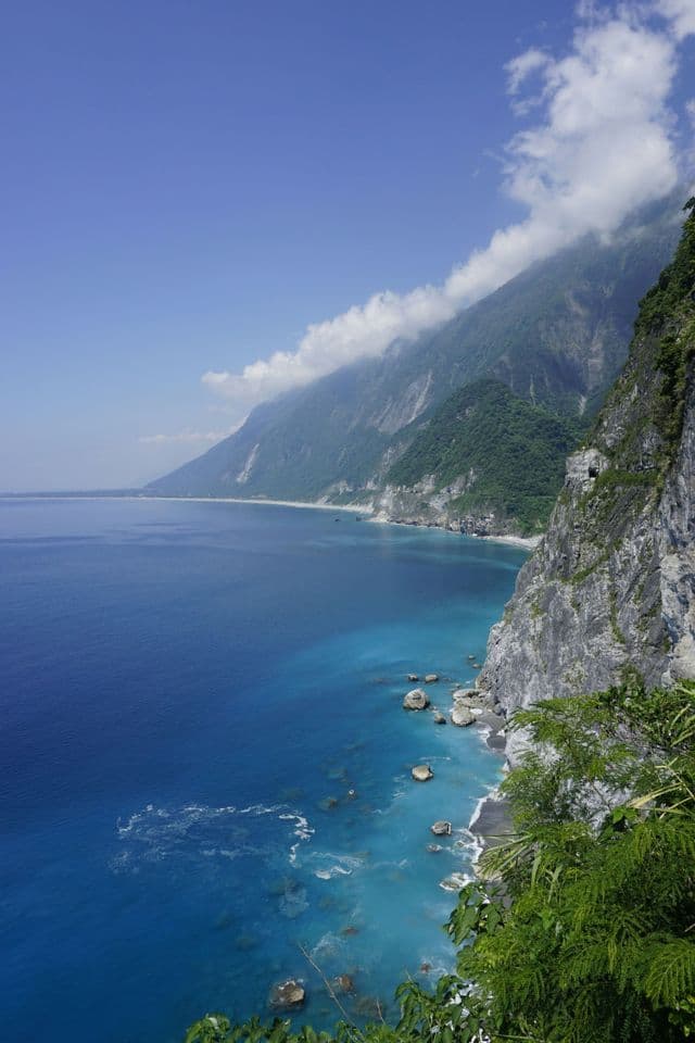 Veduta dall'alto di una costa con ripide scogliere boscose che si tuffano nell'oceano turchese sotto un cielo azzurro.