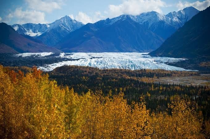 Un vasto ghiacciaio attraversa una valle, incorniciata in primo piano da fogliame autunnale giallo e sullo sfondo da montagne innevate.
