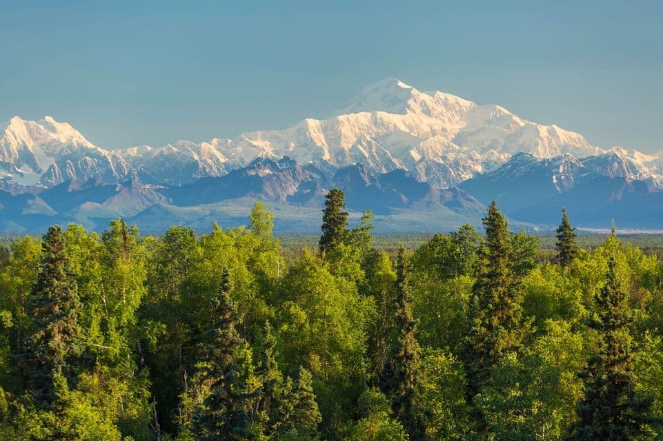 Una fitta foresta verde si erge di fronte a un'imponente catena montuosa innevata sotto un cielo azzurro limpido.