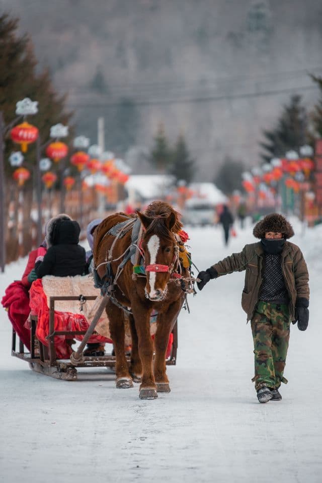 Una persona con abiti invernali conduce un cavallo che traina una slitta con passeggeri lungo una strada innevata fiancheggiata da lanterne rosse.