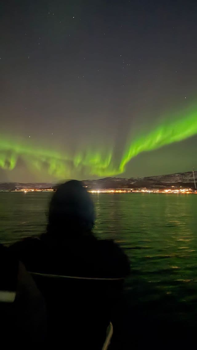 A person's silhouette looks out at the green aurora borealis over the water at night, with a distant lit shoreline.