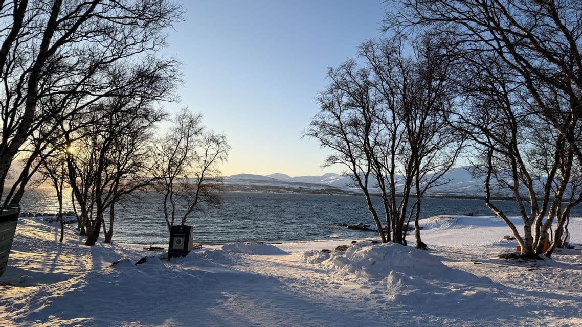 A snow-covered shoreline with bare trees overlooks a large body of water with mountains in the distance under a clear sky.