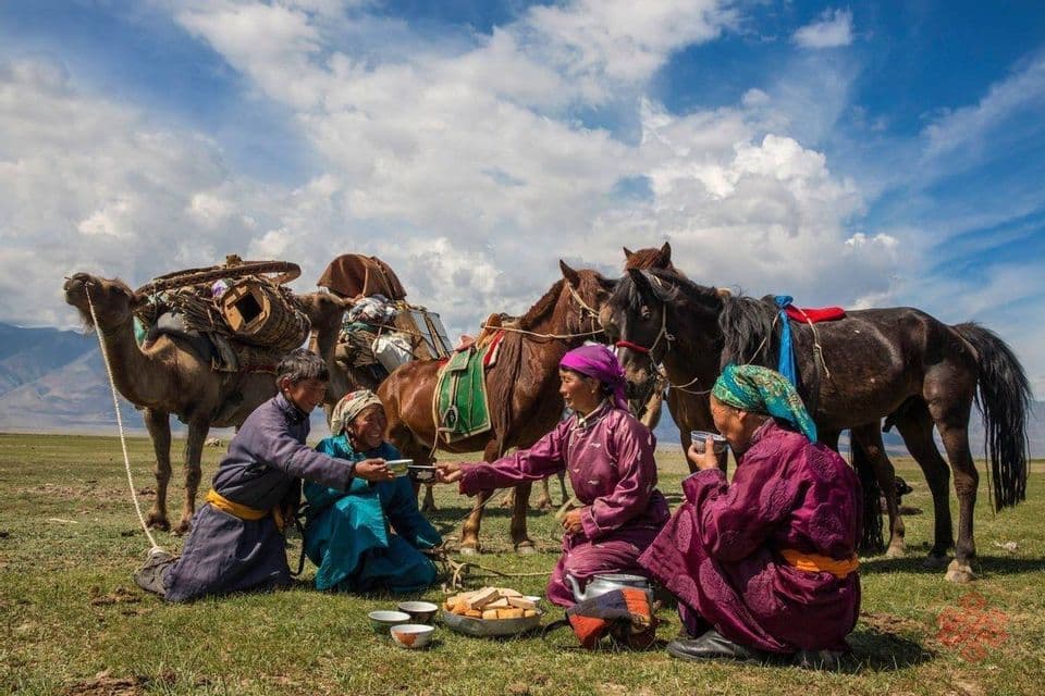 A group of people in traditional clothing kneel on a grassy field to share tea, with a packed camel and horses standing behind them.