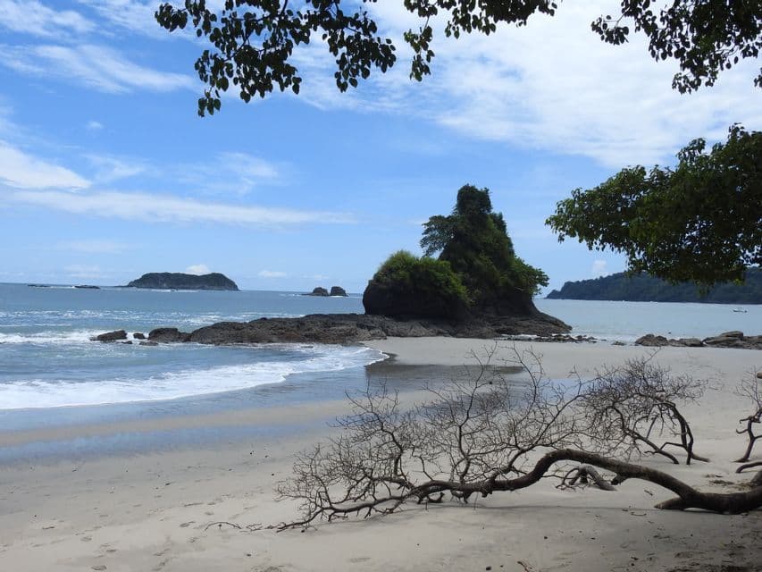 Beach in Manuel Antonio Rainforest beach in Manuel Antonio National Park, Costa Rica