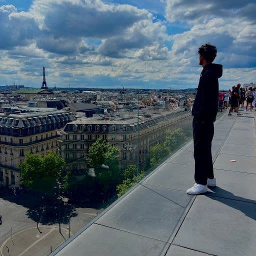 Parigi dall’alto I tetti di Parigi visti dall’alto