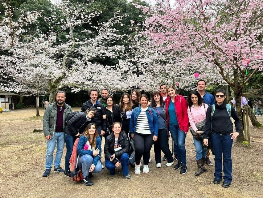 Un gruppo WeRoad in viaggio in posa per una foto in un parco con ciliegi rosa e bianchi in piena fioritura.