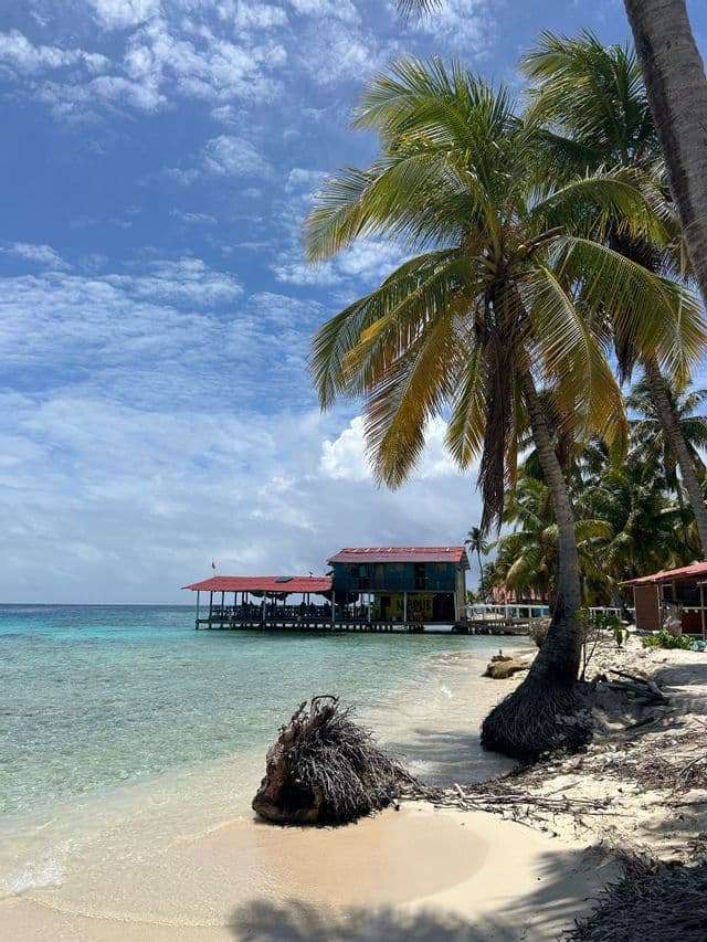 Overwater houses Wooden house on stilts over the Caribbean sea framed by palm trees