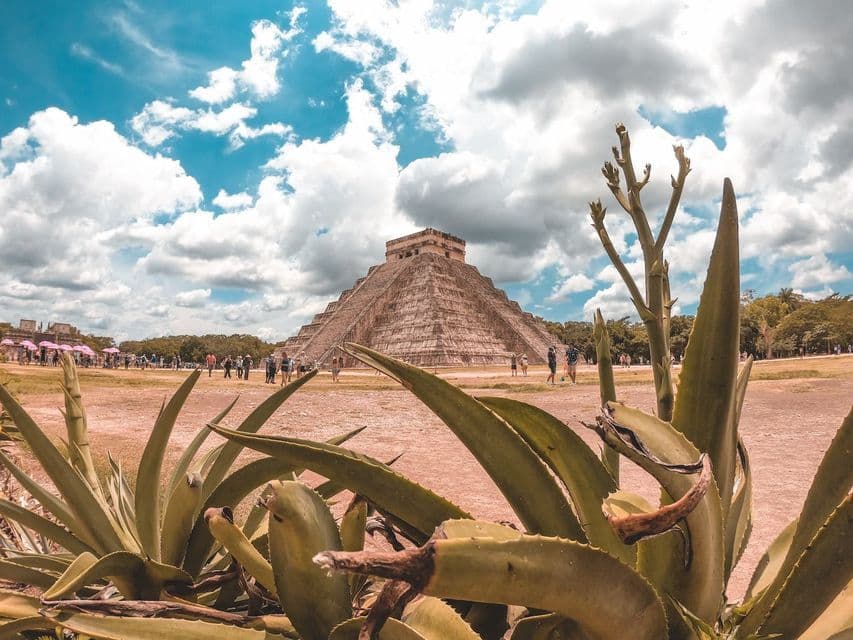 A low-angle view of a large Mayan step pyramid from behind green agave plants, with people walking in a field under a cloudy sky.