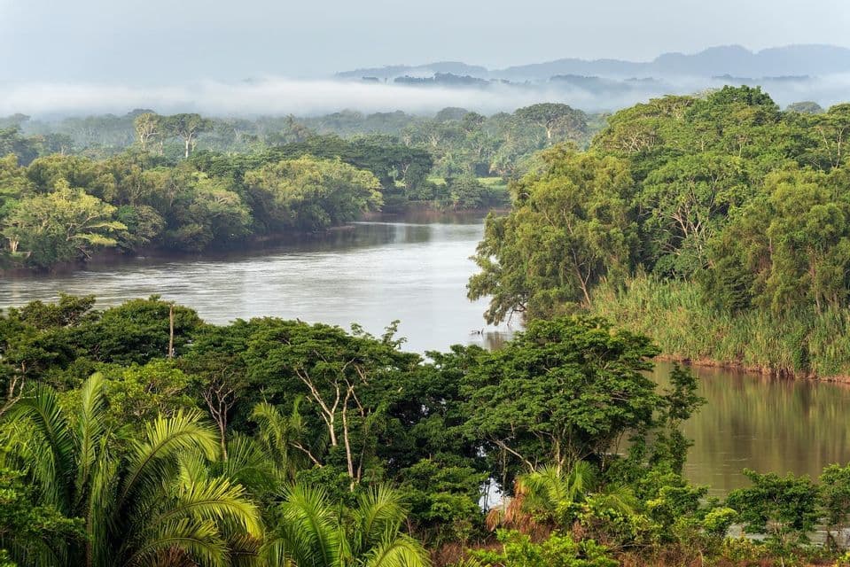 Une large rivière serpente à travers une jungle verte et dense, avec des montagnes brumeuses visibles au loin.
