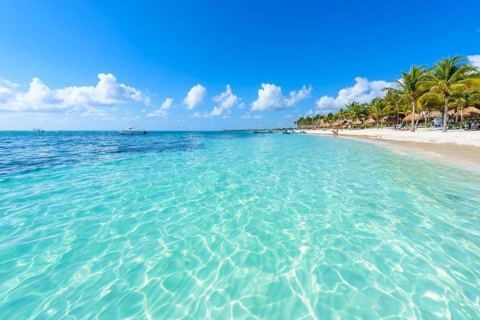 Sunlight glistens on clear, turquoise water lapping against a white sand beach lined with palm trees under a blue sky.