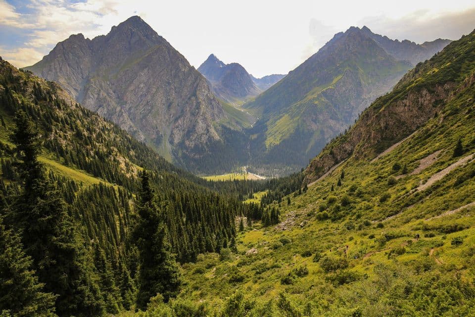 Ampia veduta di una lussureggiante valle di montagna verde, con ripide cime rocciose e pendii coperti da fitte foreste di pini sotto un cielo nuvoloso.