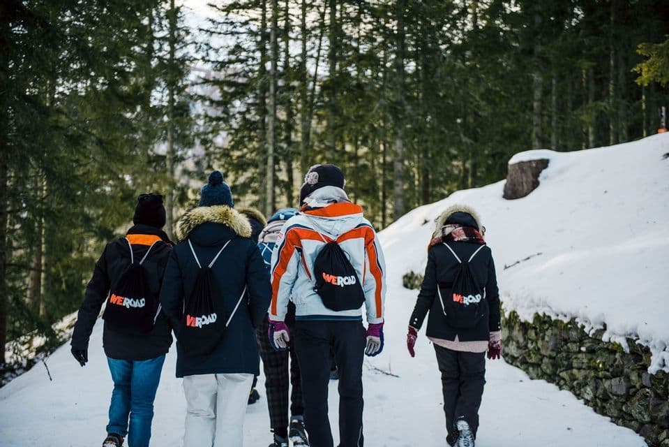 Un grupo de WeRoad camina por un sendero nevado a través de un bosque de pinos, visto desde atrás.
