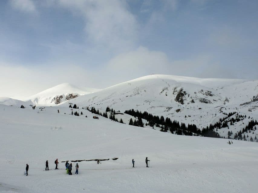 Eine WeRoad-Gruppe steht in einer weiten Schneelandschaft, mit schneebedeckten Bergen und Pinien im Hintergrund.