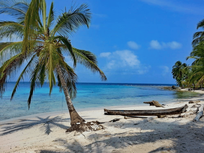 Eine Palme neigt sich über einen weißen Sandstrand, wo ein Holzkanu am ruhigen, türkisfarbenen Ozean unter blauem Himmel ruht.
