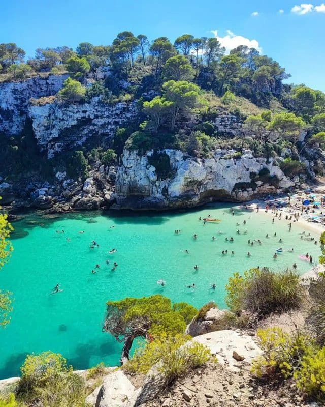 Ein erhöhter Blick auf eine überfüllte Strandbucht mit Menschen, die im türkisfarbenen Wasser schwimmen, umgeben von baumbestandenen Klippen.