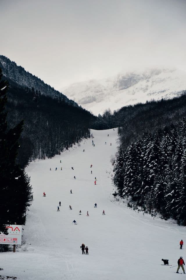 La gente esquía y hace snowboard por una amplia pendiente cubierta de nieve flanqueada por densos bosques de pinos en un día nublado.