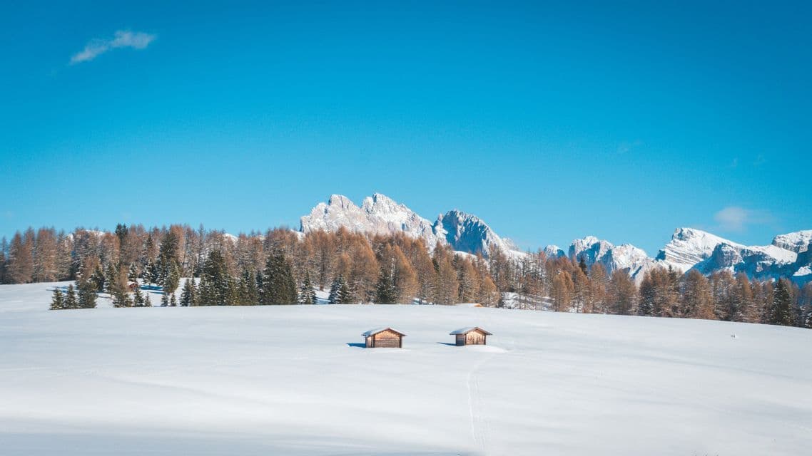 Due baite in legno riposano su un vasto campo innevato di fronte a una foresta e montagne frastagliate sotto un cielo azzurro e limpido.