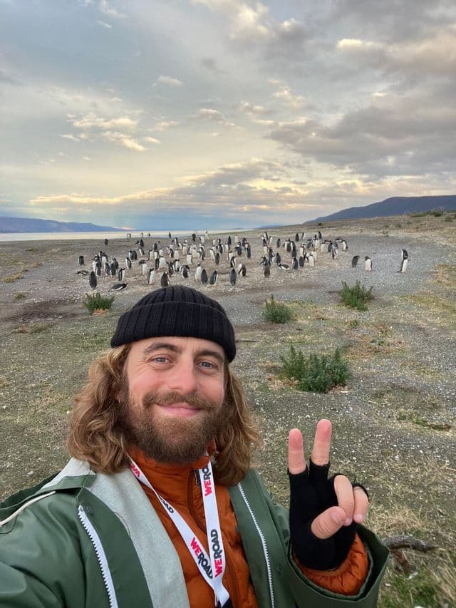 Ein Mann macht ein Selfie mit einem Friedenszeichen vor einer großen Pinguinkolonie, die sich am Strand versammelt hat.