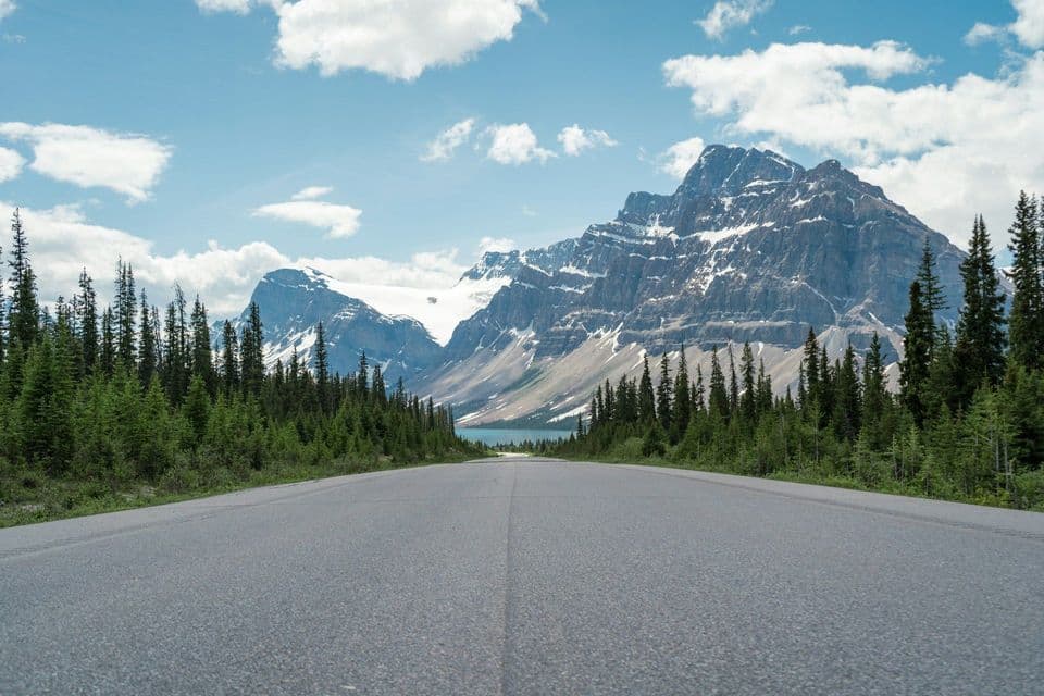 Una ripresa dal basso di una strada vuota che attraversa una pineta verso grandi montagne innevate sotto un cielo nuvoloso.