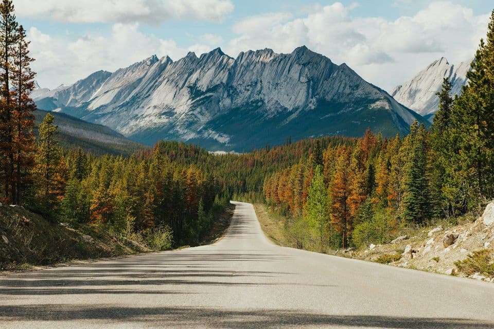 Una strada asfaltata si snoda attraverso una foresta autunnale di pini, dirigendosi verso una catena montuosa aspra sotto un cielo parzialmente nuvoloso.