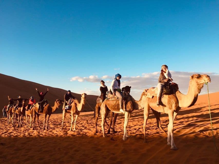 Un viaje en grupo de WeRoad montando una caravana de camellos a través de dunas de arena del desierto bajo un cielo azul brillante.