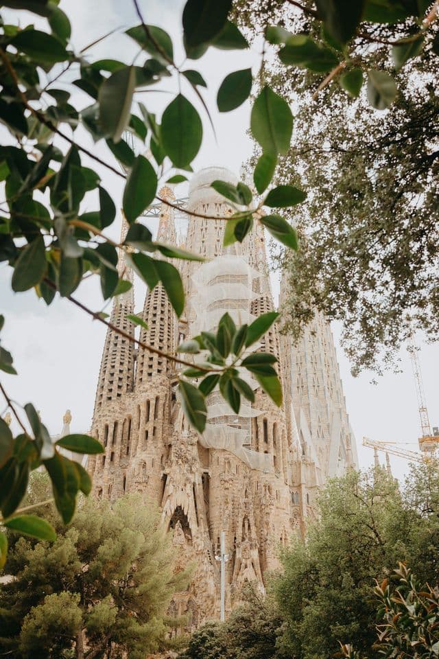 Una catedral de piedra ornamentada con imponentes agujas enmarcadas por ramas de árboles verdes y frondosas bajo un cielo nublado.