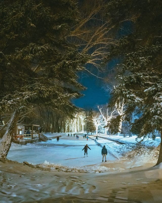 People ice skating on an illuminated outdoor frozen path surrounded by snow-covered trees at night.