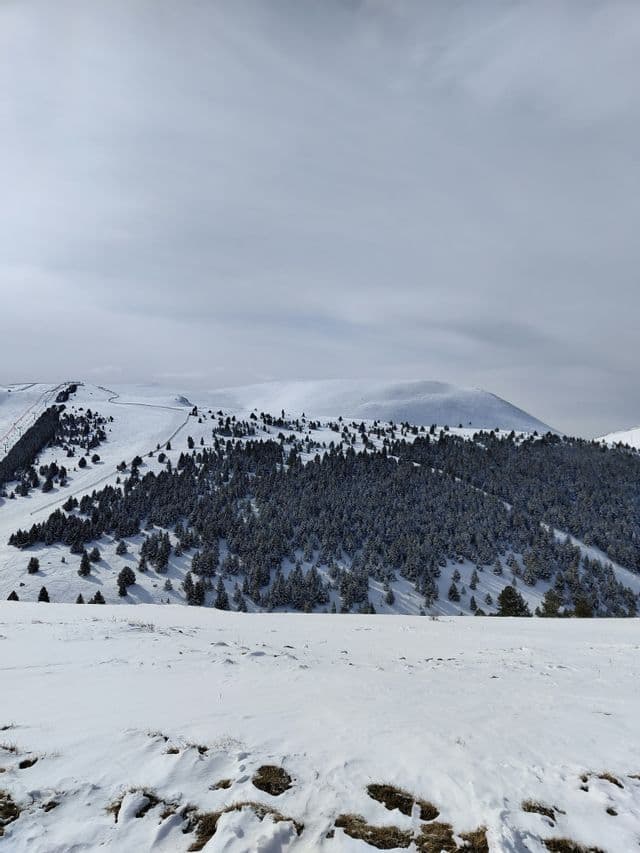 Montañas cubiertas de nieve con densos bosques de pinos y pistas de esquí bajo un cielo nublado.