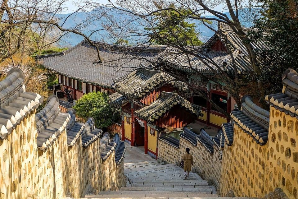 A person in a coat walks down a long stone staircase toward a traditional temple complex nestled among trees and hills.
