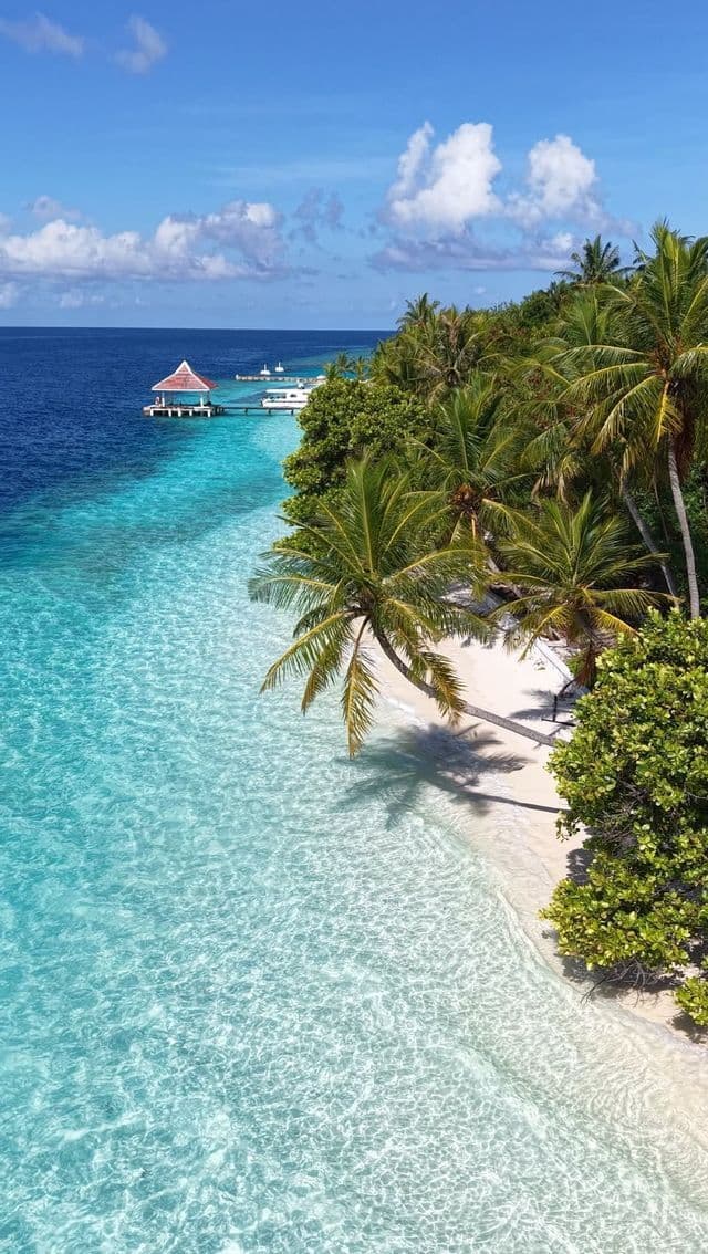 Palme che costeggiano una spiaggia di sabbia bianca con acque oceaniche turchesi e trasparenti e un pontile di legno in lontananza.