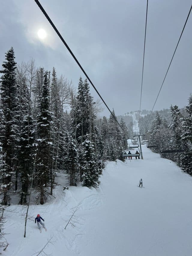 Cavi di impianti di risalita tesi sopra un pendio innevato con sciatori che sciano tra i pini sotto un cielo invernale.