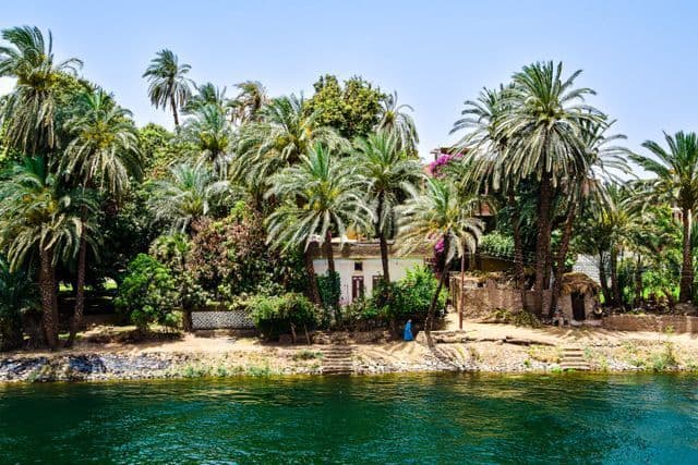 Lussureggianti palme verdi e piccoli edifici costeggiano la calma riva del fiume sotto un cielo limpido.