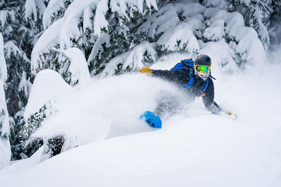Un snowboarder che fa carving nella neve fresca profonda vicino a pini innevati