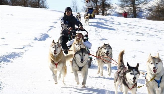 Un team di cani husky trascina una slitta con due persone attraverso un paesaggio soleggiato e innevato durante un viaggio di gruppo WeRoad.