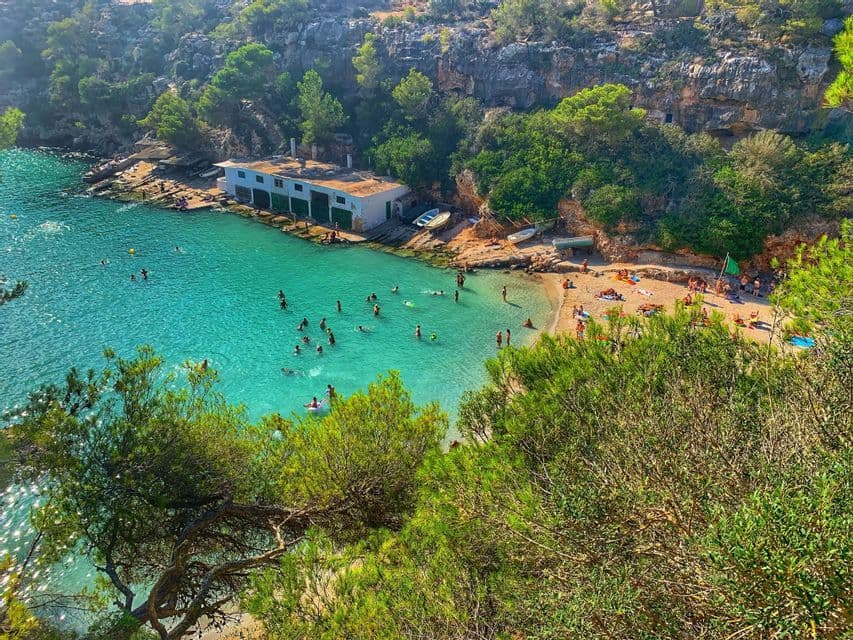 Vista dall'alto di una caletta dove le persone nuotano in acqua turchese e si rilassano su una spiaggia sabbiosa incastonata tra scogliere e alberi.
