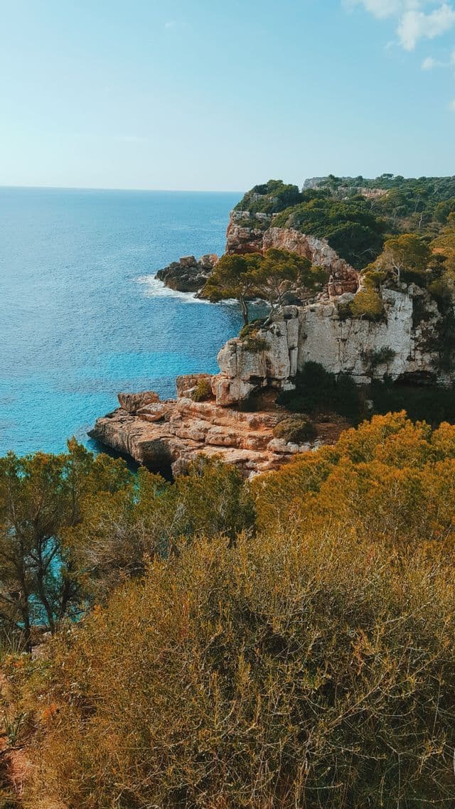 Una veduta dall'alto di una scogliera rocciosa e ricoperta di alberi che si protende in un mare calmo e turchese, sotto un cielo sereno.