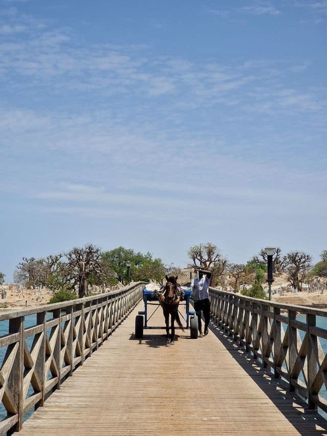 Un homme marche avec un cheval tirant une charrette à deux roues sur un long pont en bois au-dessus de l'eau, avec des baobabs en arrière-plan.