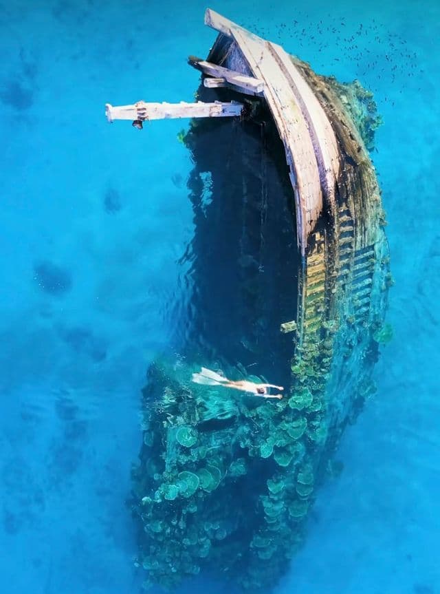 An aerial view of a person snorkeling with fins next to a large shipwreck covered in coral in clear blue water.