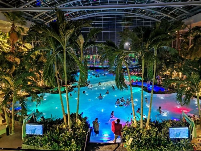 A high-angle view of people swimming in a large, blue-lit indoor pool at night, surrounded by palm trees under a glass atrium.