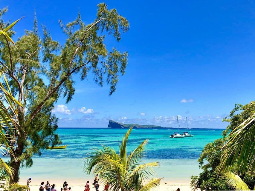 Una vista tra gli alberi di una spiaggia tropicale con acqua turchese, un catamarano e un'isola in lontananza, con un viaggio di gruppo WeRoad sulla sabbia.