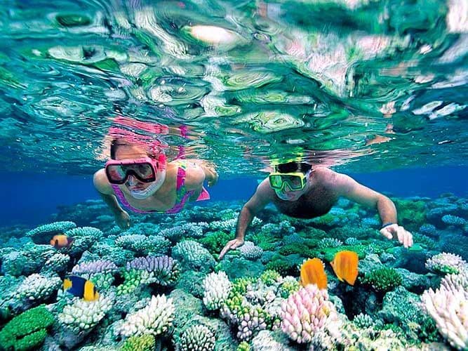 A man and a woman in snorkeling gear swim just below the water's surface, observing a vibrant coral reef teeming with fish.