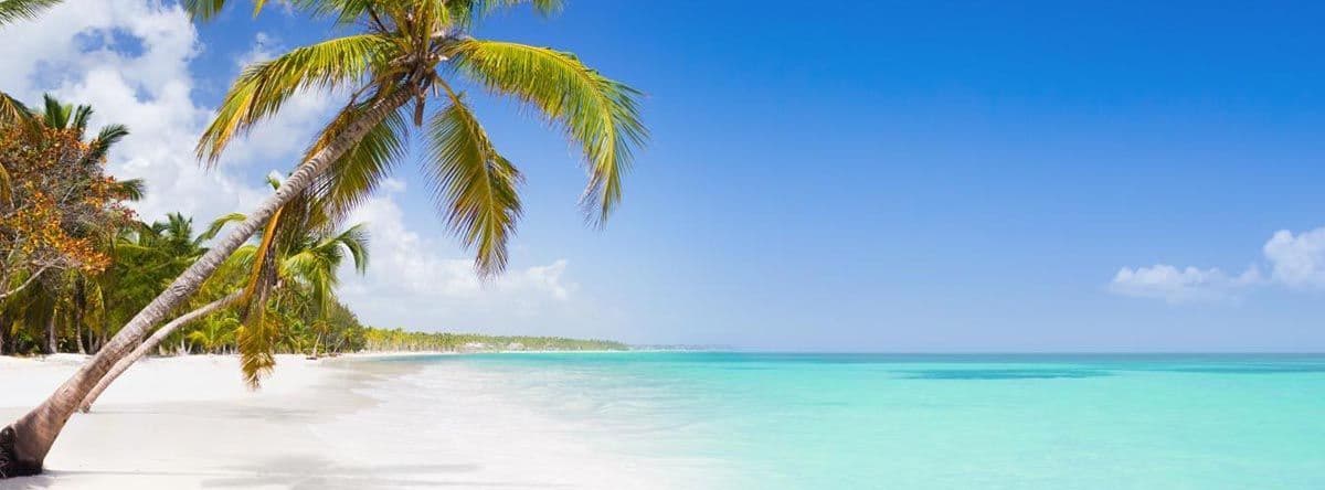 Eine Palme lehnt sich über einen weißen Sandstrand neben ruhigem, türkisfarbenem Meerwasser unter einem klaren blauen Himmel.