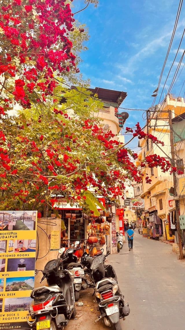 Una stretta via cittadina è fiancheggiata da negozi ed edifici, con un grande albero dai fiori rossi che si inarca sopra scooter parcheggiati.